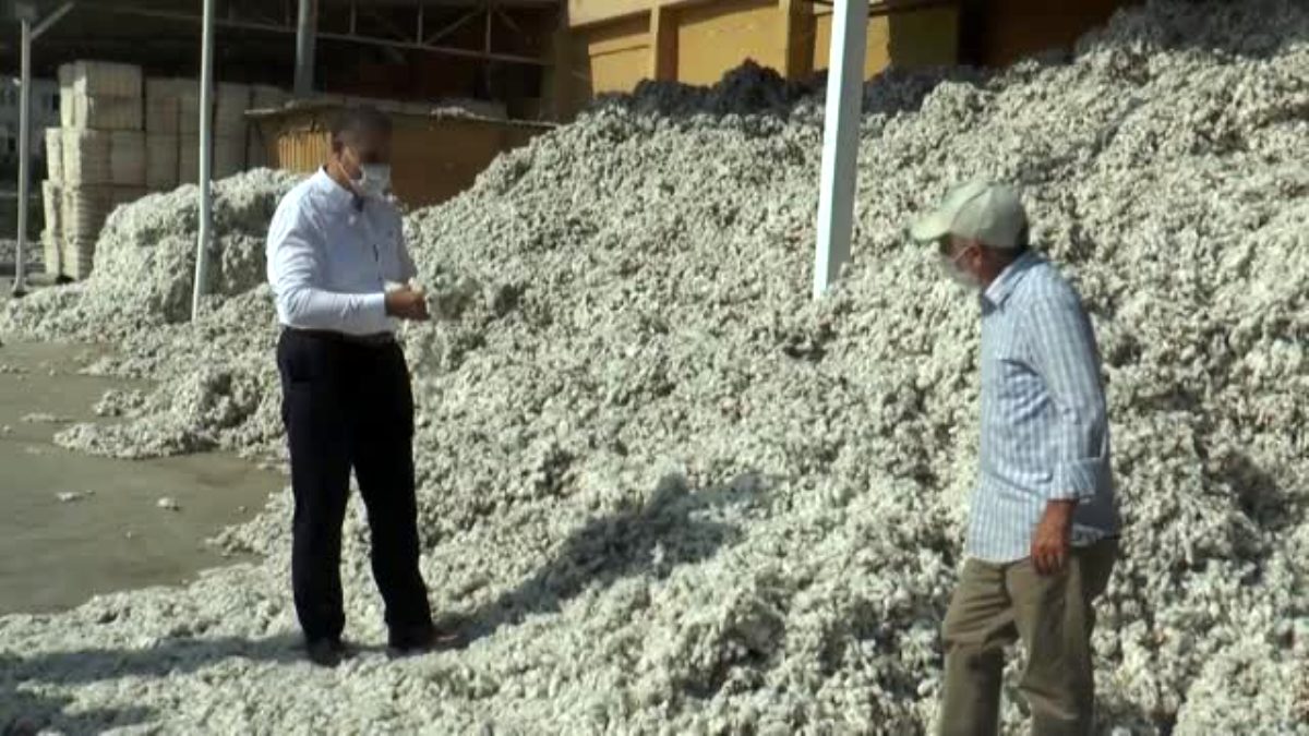 CHP Milletvekili Mehmet Güzelmansur, çırçır fabrikalarını gezdi - HATAY