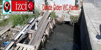  BEYKOZUN MEYDANINDA DENİZE  GÖZ GÖRE GÖRE  WC KANALİZASYON GİDERİ DENİZE BAĞLANMIŞ.