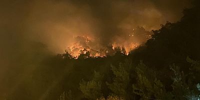 SON DAKİKA Bartın'da orman yangını: 4 kişi gözaltına alındı
